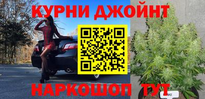 Альфа ПВП Бийск