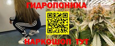 прущие крисы Беслан