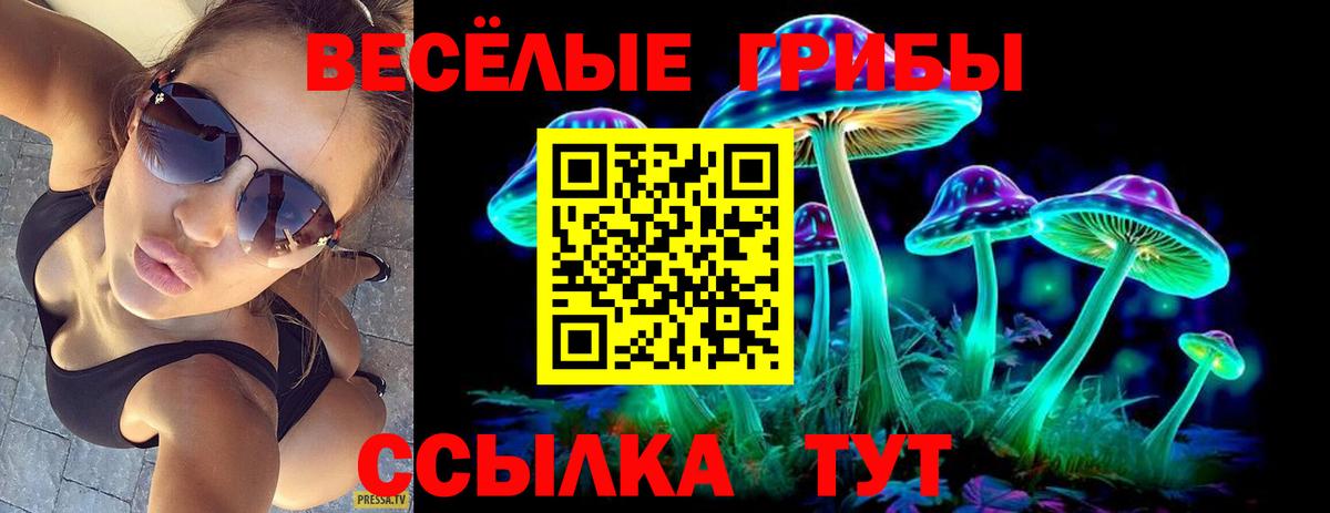 Кизляр  Псилоцибиновые грибы мицелий  Вход с VPN 