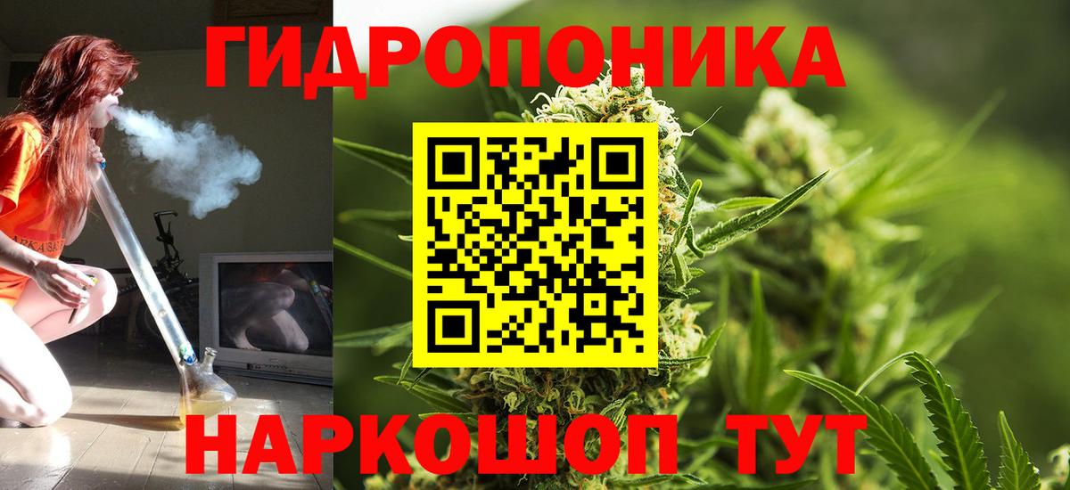 Бошки марихуана конопля Кизляр